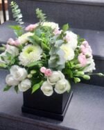 Blush&Snow - Image 2