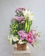 Blush & Bloom - Image 2