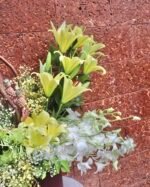 Sunrise Blossom - Image 2