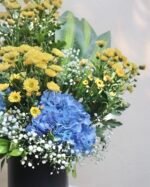 Sunrise Breeze - Image 2