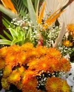 Citrus snow - Image 3