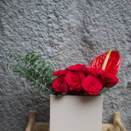 Red chilli