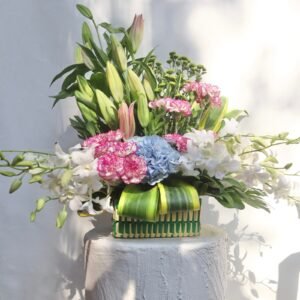 Bloom Galore