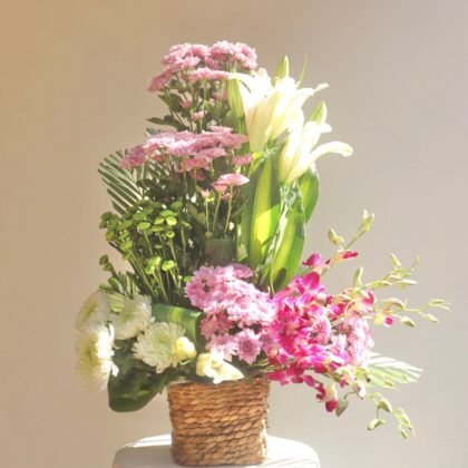 Blush & Bloom