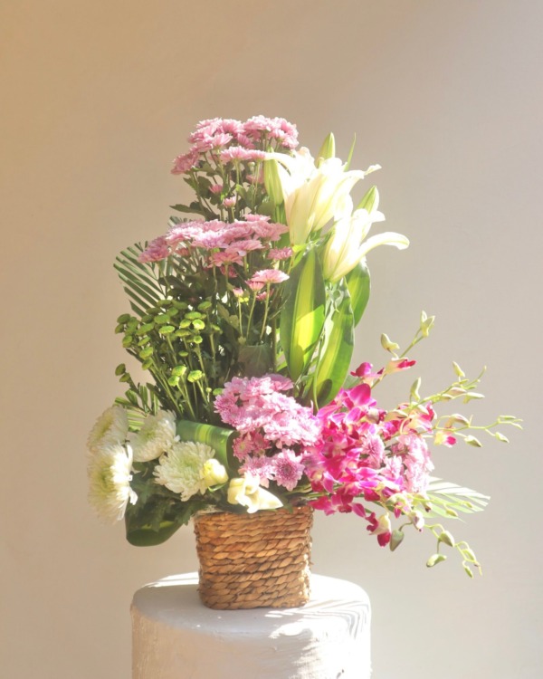 Blush & Bloom