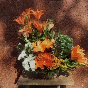 Orange lilly