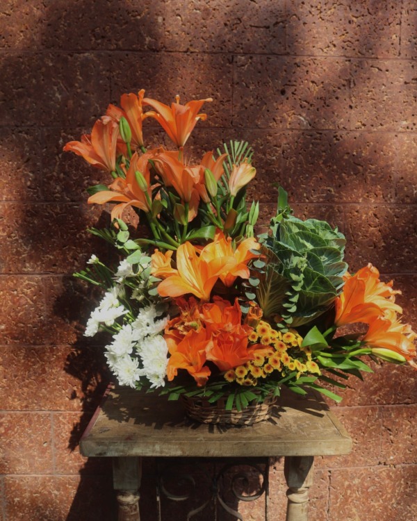 Orange lilly
